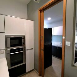 One Jervois (D10), Condominium #578644471